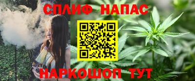 индика Жуковский