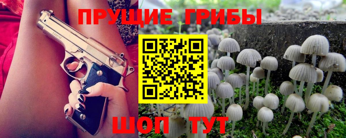 Псилоцибиновые грибы прущие грибы Кушва